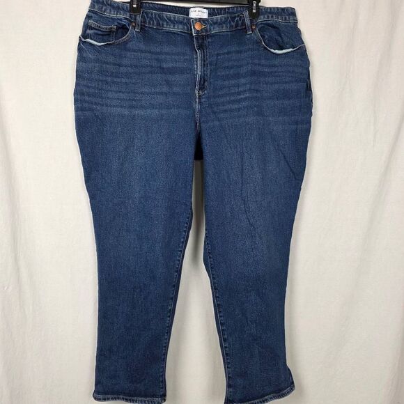 Lane Bryant Denim - Lane Bryant Classic Fit Blue Denim Jeans Sz 24